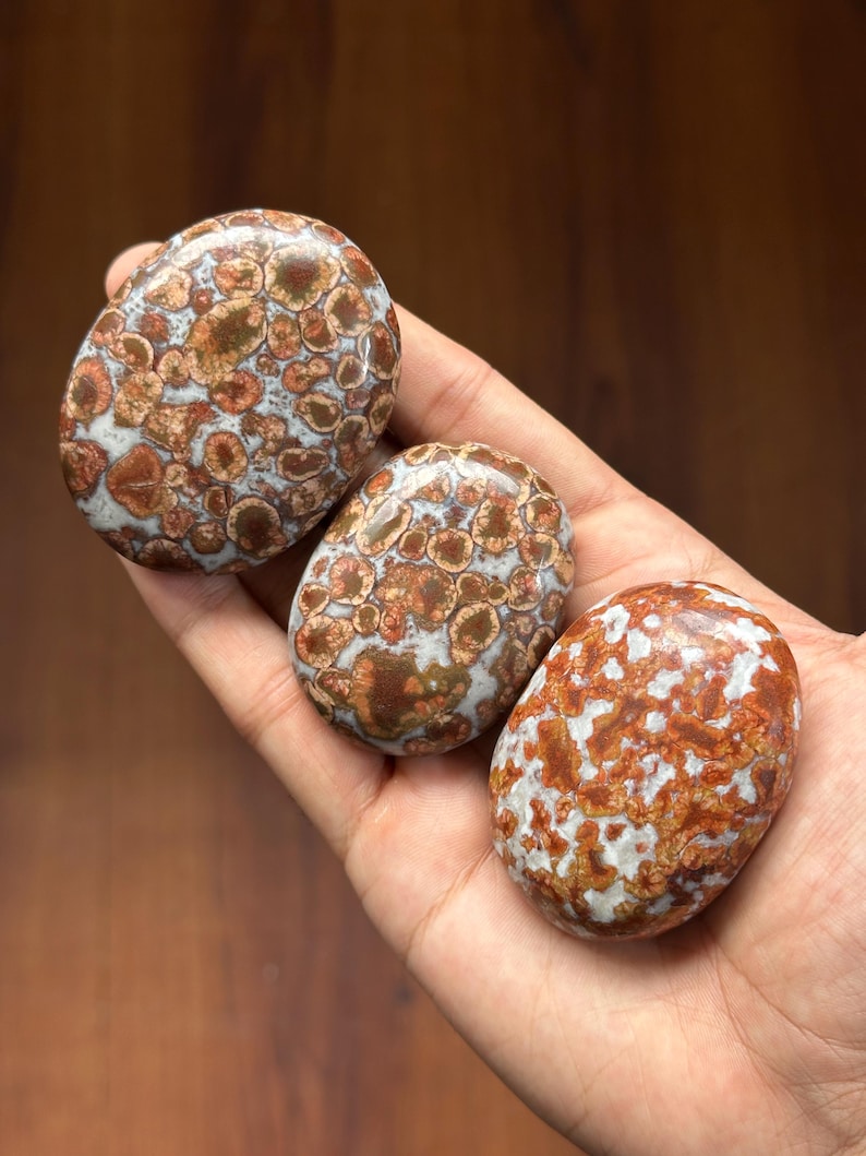 Leopard Skin Jasper Palmstones