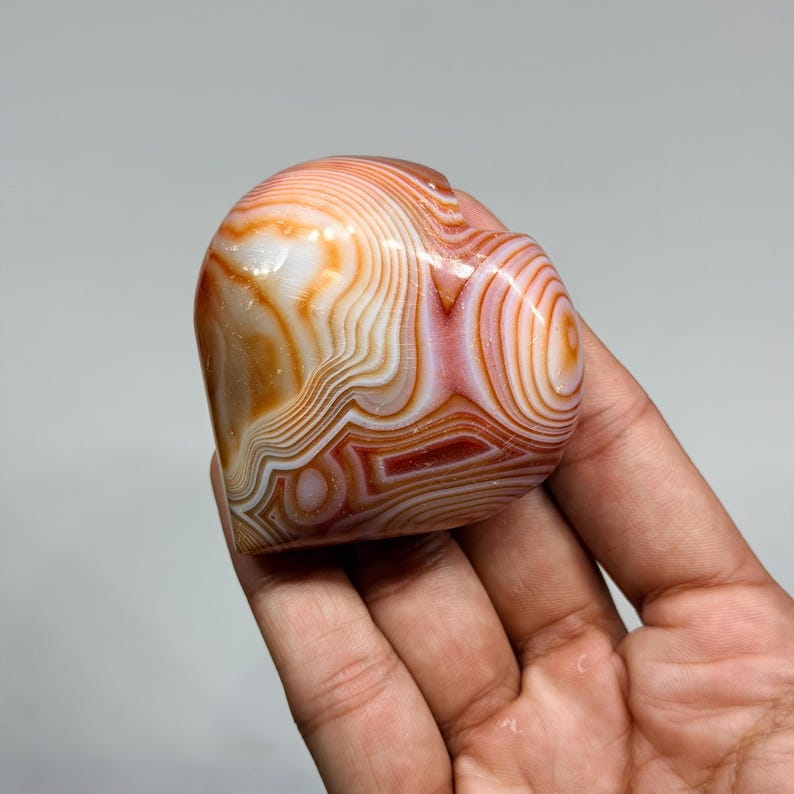 Laguna Agate Palm Stone