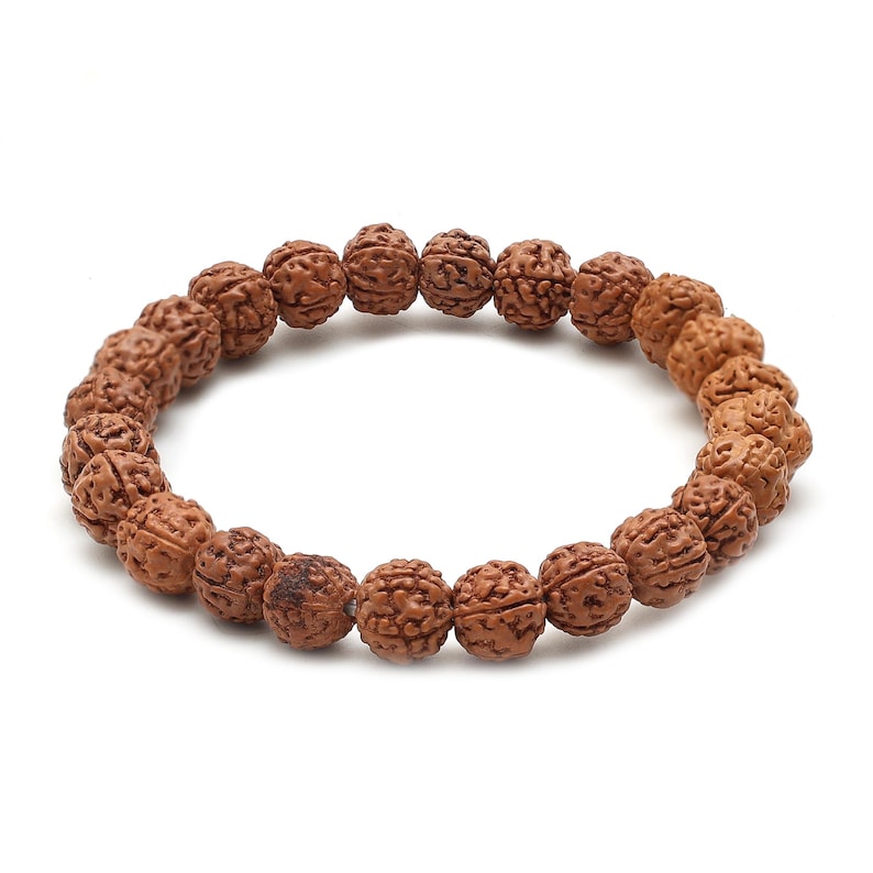 Himalayan Rudraksha Ancient Shiva Eye