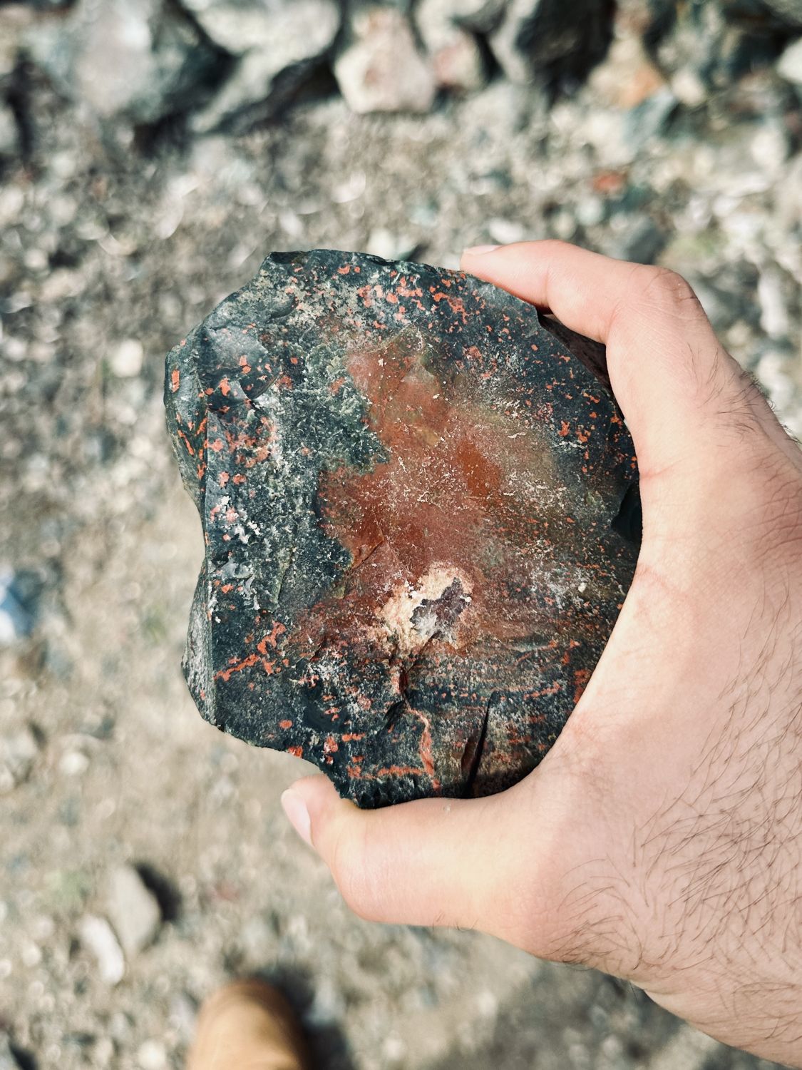 rough in hand